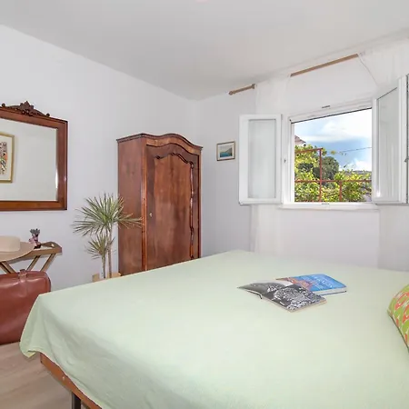 Apartment Vicina Summer 2